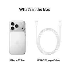 iPhone_17_Pro_Silver_PDP_Image_Position_8__WWEN
